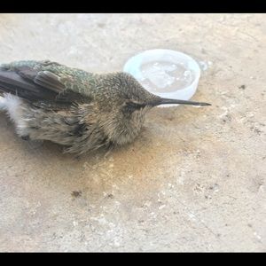 Meet your Posher, Jared